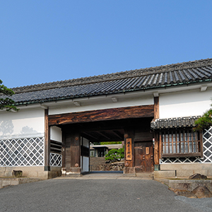 ここに画像の名前300×400px